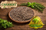 Caraway seeds - Image 2