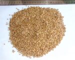 Coriander seeds - Image 4