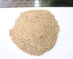 Sesame - Image 6