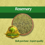 Rosemary