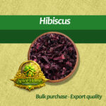 Hibiscus