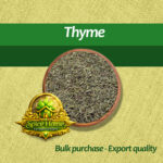 Thyme