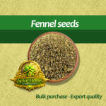 Fennel seeds