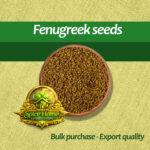 Fenugreek seeds