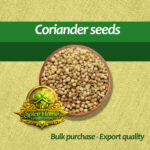 Coriander seeds