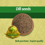 Dill seeds
