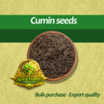 Cumin
