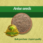 Anise  seeds