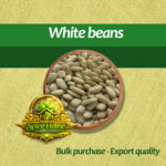 White beans