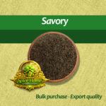 Savory