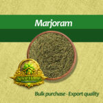 Marjoram