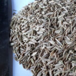 Caraway seeds - Image 3