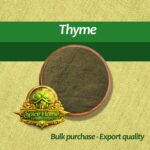 Thyme