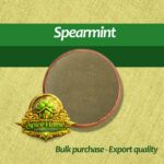Spearmint