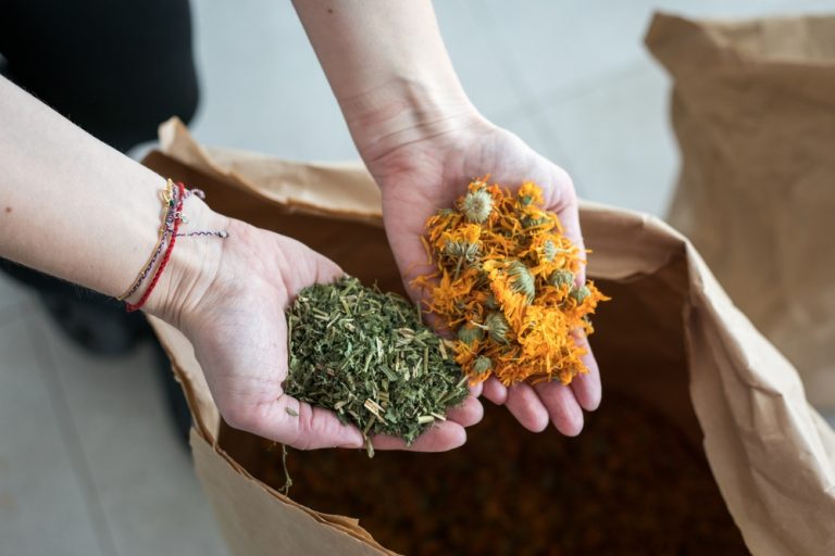 The Art and Science of Processing Herbs | Spice Home