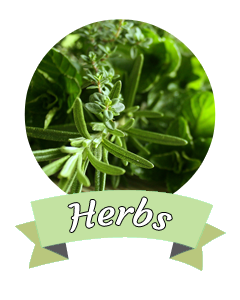 Spice Home - Herbs