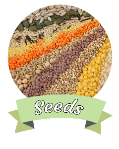 Spice Home - Seeds