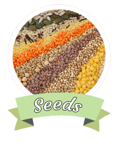 Spice Home - Seeds